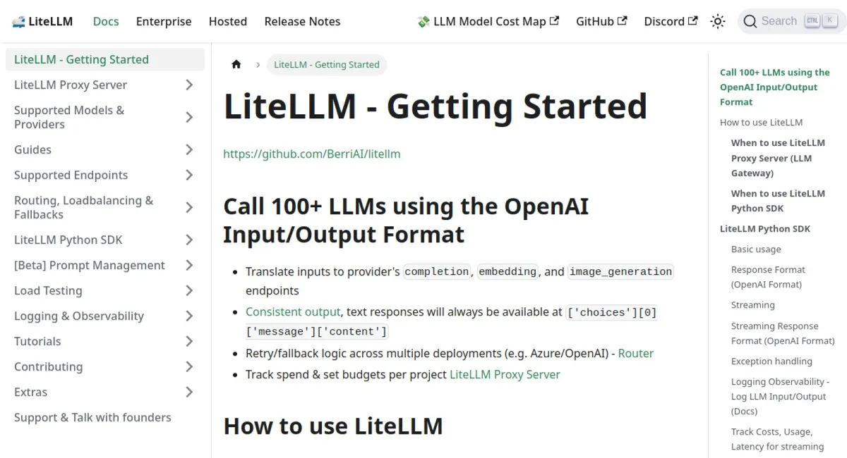 LiteLLM website