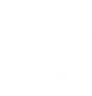 Echo AI logo