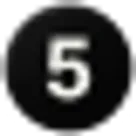 5SVG logo