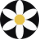 Narcis.ai logo
