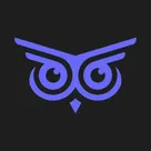 Brandwise: AI Customer Service logo