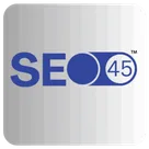 SEO45 AI logo