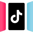 TikTok Feed by Reelify logo