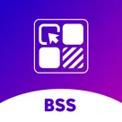 BSS: Product Variants Options logo