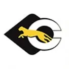 Cheetah DeliverIt logo