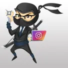 Instagram Feed Ninja logo