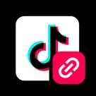 TikTok Embed logo