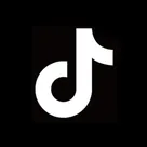 TikTok Videos, Music &amp; Feeds logo
