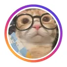 Instafeed + Stories logo