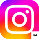 Instagram Follow Us Button logo