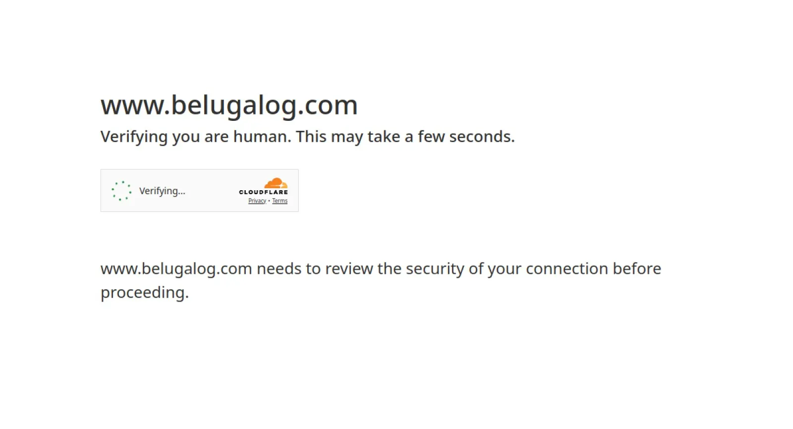 Beluga Logistics