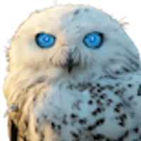 OwlAI AI Assistant logo