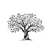 Baobrain logo
