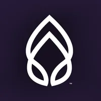 Medpaid HSA/FSA logo