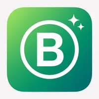 BatchSEO ‑ AI SEO Optimizer logo