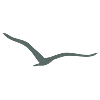 Logydrop logo