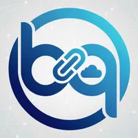 Biqli: Conversion Analytics logo