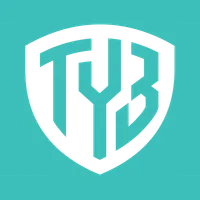 TY Bridge logo