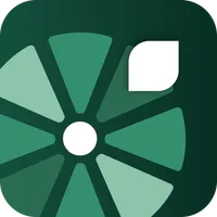 Mori Spin Wheel Email Popup logo