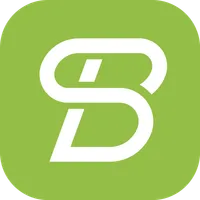 Bridge to Brandwise logo