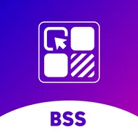 BSS: Product Variants Options logo