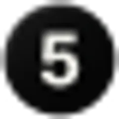 5SVG