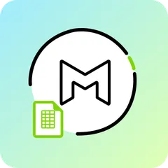 Mport ‑ Bulk Metafield Import