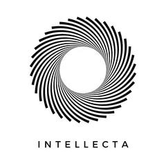 Intellecta ‑ AI chatbot