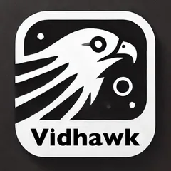 Vidhawk: TikTok, Reels, Shorts