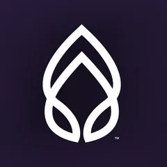 Medpaid HSA/FSA