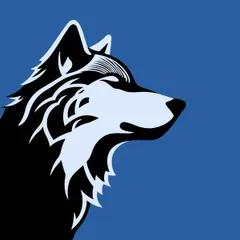 BlueWolf ‑ SEO A/B Tester