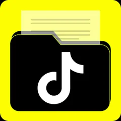 TikTok Catalog Feed — SPL