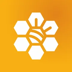 Bee Bundle Upsell Discounts