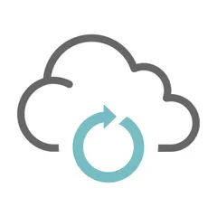 Singleton | Product History