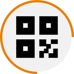 Evolved QR Codes