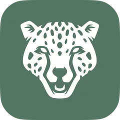 ChopChopify Speed Optimizer