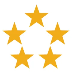 Custom Google Reviews