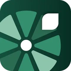 Mori Spin Wheel Email Popup