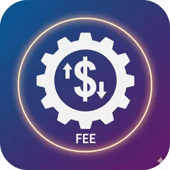 Custom fee value for plus