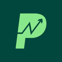 Profit Pulse: P&amp;L &amp; Net Profit