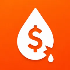 Profit Leak Detector
