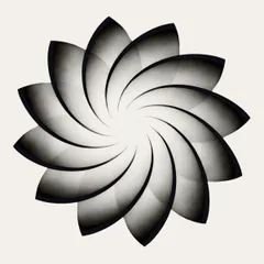 Radiance Connect
