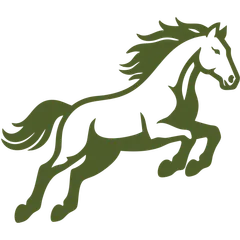 Bronco