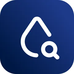 Particle Search