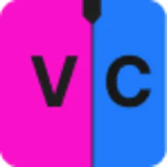 Video company