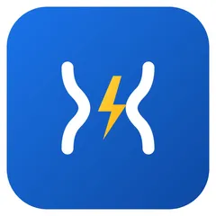 Schema Forge — SEO JSON‑LD