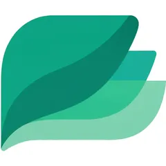 LingoVae Communication Styles