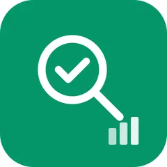 AIStoreAudit