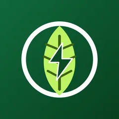 EcoShip ‑ Delivery Badge