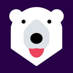 Checkout Bear